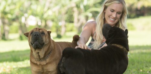 Bethany pets her dogs and shares tips on how to deal with overwhelm.